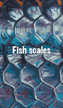 FISH SCALES 魚鱗 画像(1)