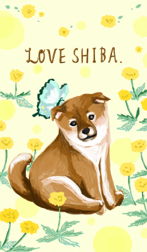 LOVE SHIBA！ 柴犬大好き編 画像(1)