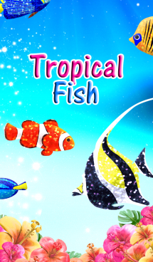 Tropical Fish（キラキラ☆熱帯魚） 画像(1)