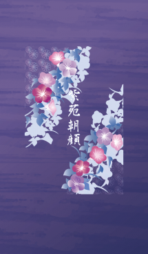 紫苑朝顔 画像(1)