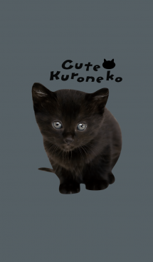 Cute Kuroneko かわいいくろねこの子猫 画像(1)