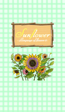 Sunflower2 -Language of flowers- 画像(1)