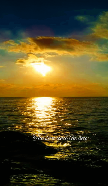 The sun and the sea 画像(1)