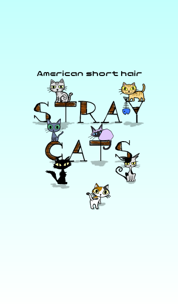 STRAY CATS - American short hair-の画像(表紙)