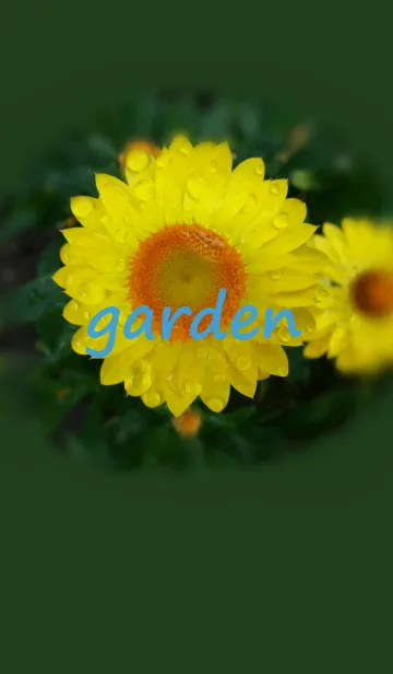 [LINE着せ替え] my beautiful gardenの画像1
