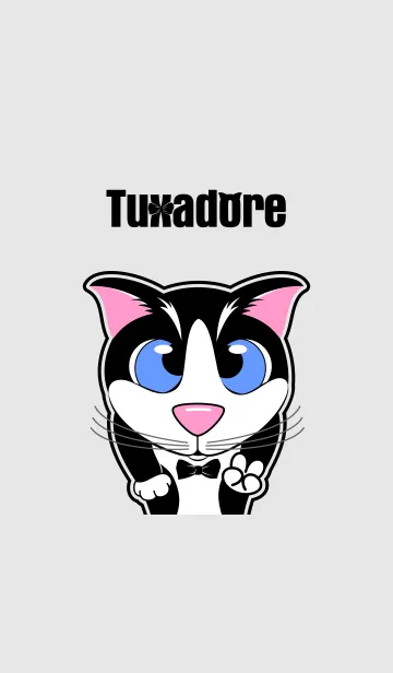 [LINE着せ替え] Tuxadore Catの画像1