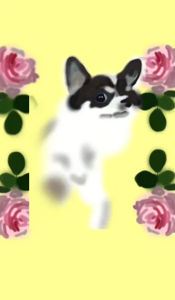 チワワと一緒の着せ替えメイン画像