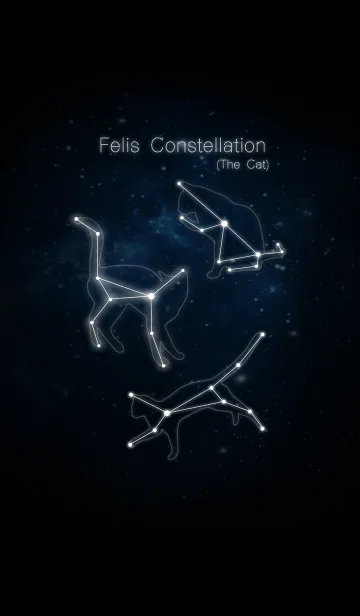 [LINE着せ替え] Felis Constellation (The Cat)の画像1