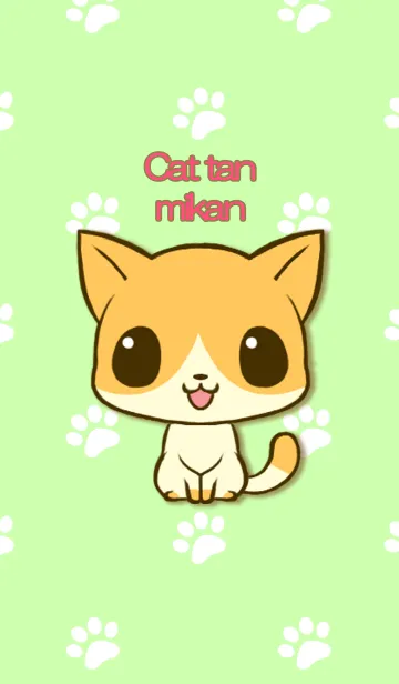 ねこたん みかんの着せ替えメイン画像