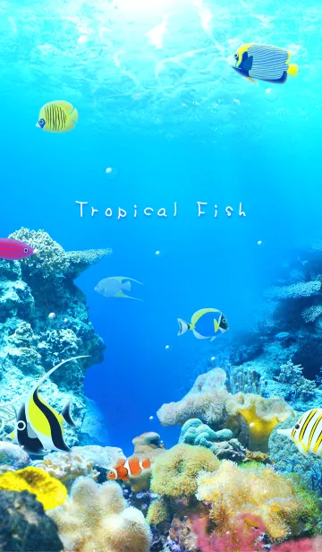 [LINE着せ替え] Sea of Tropical Fishの画像1