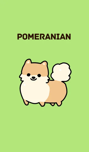 [LINE着せ替え] ポメラニアンの着せ替えの画像1