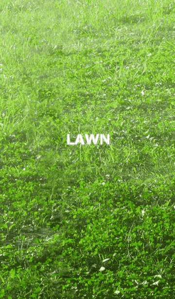 LAWN-芝生の着せ替えメイン画像
