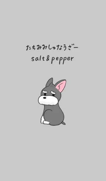 [LINE着せ替え] たちみみしゅなうざー salt ＆ pepperの画像1