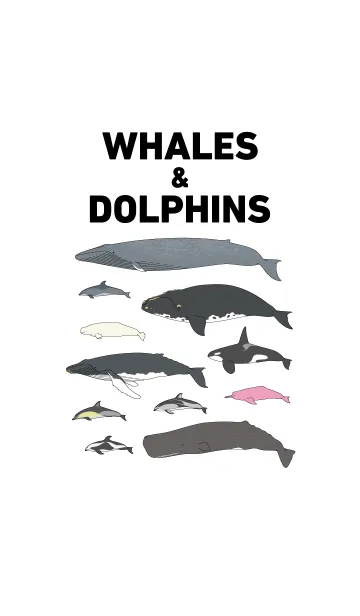 [LINE着せ替え] クジラ＆イルカの画像1