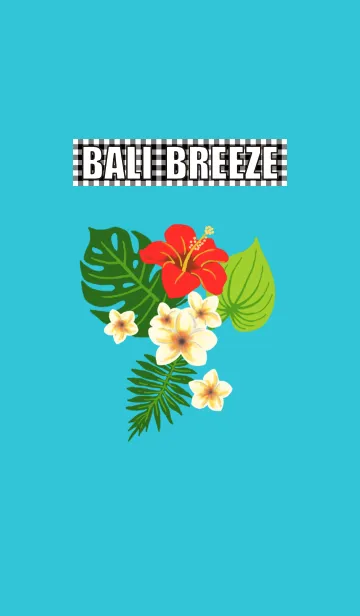 [LINE着せ替え] BALI BREEZEの画像1