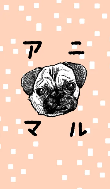 動物の着せかえの着せ替えメイン画像