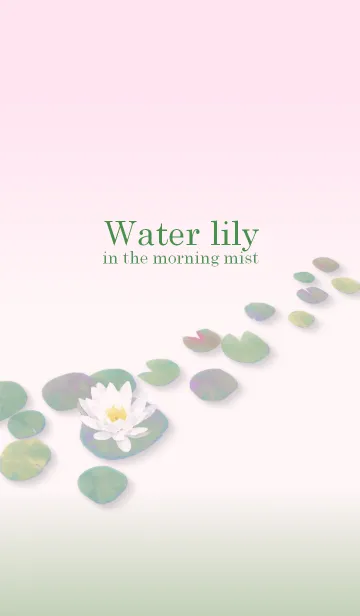 [LINE着せ替え] 朝霧の中の水連の画像1