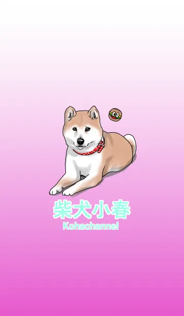[LINE着せ替え] 柴犬小春 こはチャンネルの画像1