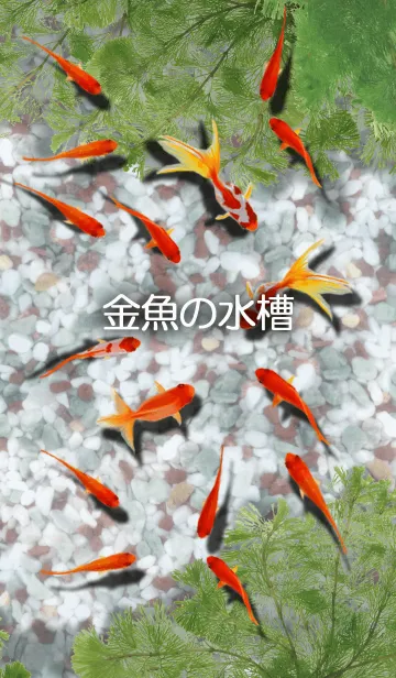 金魚の水槽の着せ替えメイン画像