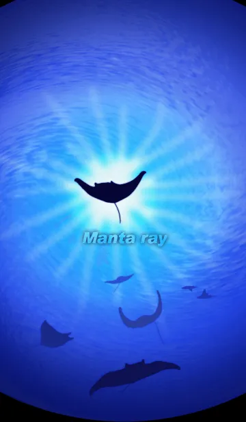 [LINE着せ替え] Manta ray ～マンタの泳ぐ海～の画像1