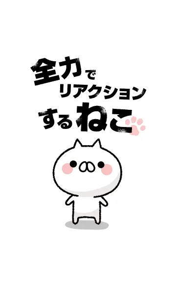 [LINE着せ替え] 全力でリアクションするねこの画像1