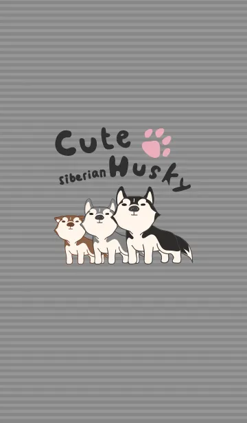 [LINE着せ替え] Cute Siberian Huskyの画像1