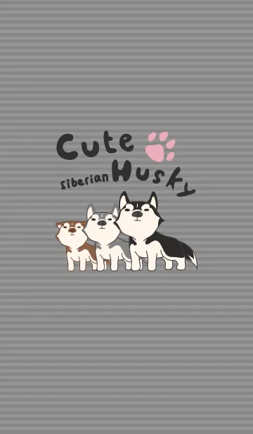 Cute Siberian HuskyのLINE着せ替え