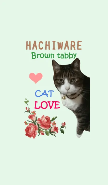 [LINE着せ替え] きじとらハチワレ LOVEの画像1