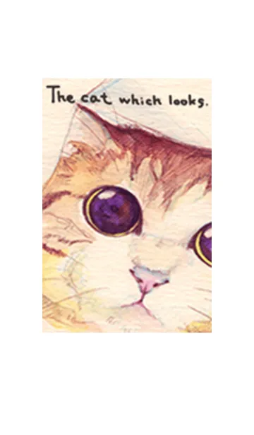 [LINE着せ替え] 見つめる猫の画像1