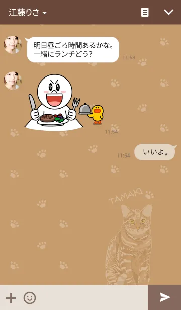 [LINE着せ替え] 猫たまブログの猫たまきです。の画像3