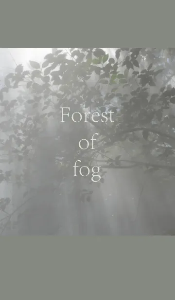 [LINE着せ替え] 霧の森の画像1