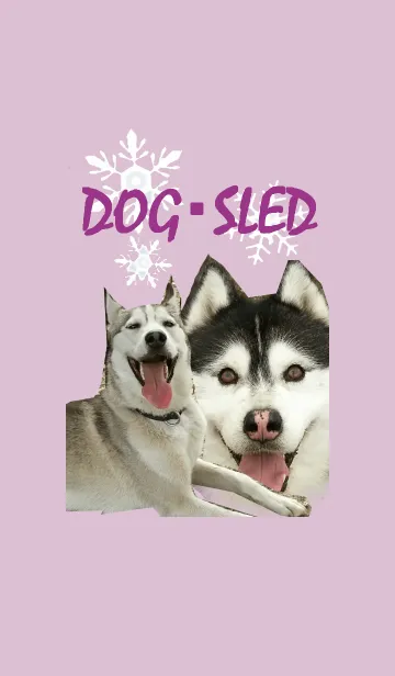 [LINE着せ替え] DOG・SLED ☆犬ぞり☆の画像1