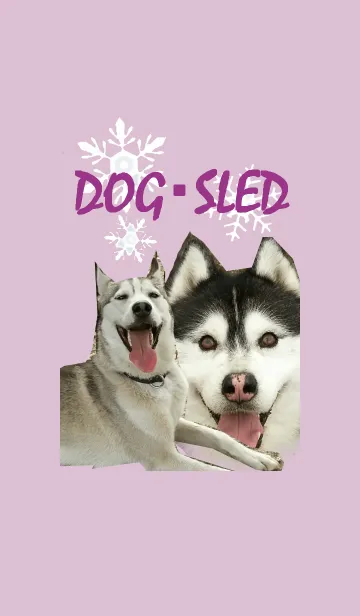 DOG・SLED ☆犬ぞり☆の着せ替えメイン画像