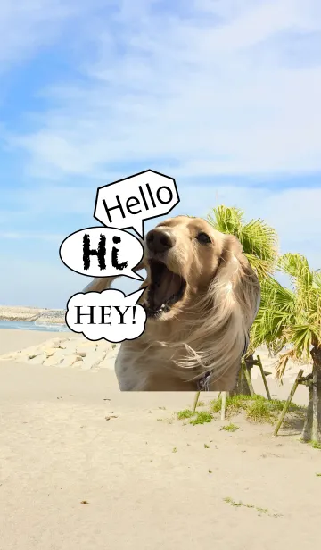 [LINE着せ替え] リアルダックスフントの画像1