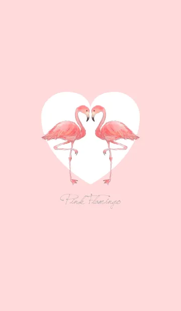 PhoenicopteridaeのLINE着せ替え