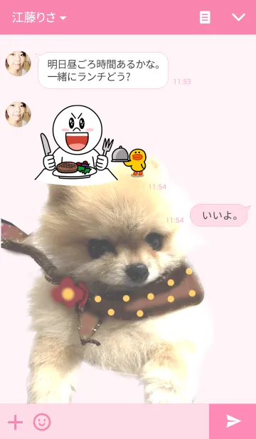 [LINE着せ替え] いたずらっ子 コロコロさくらちゃんの画像3