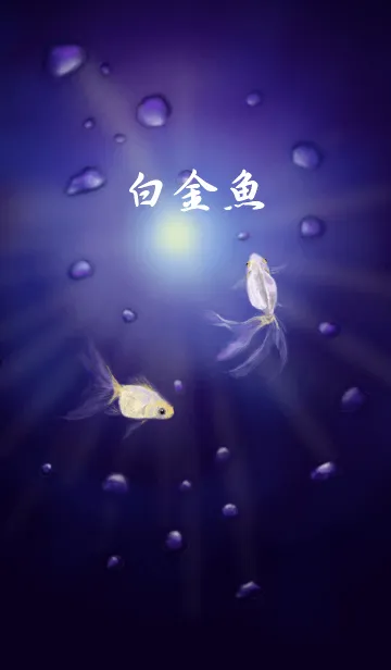 [LINE着せ替え] 白金魚の画像1