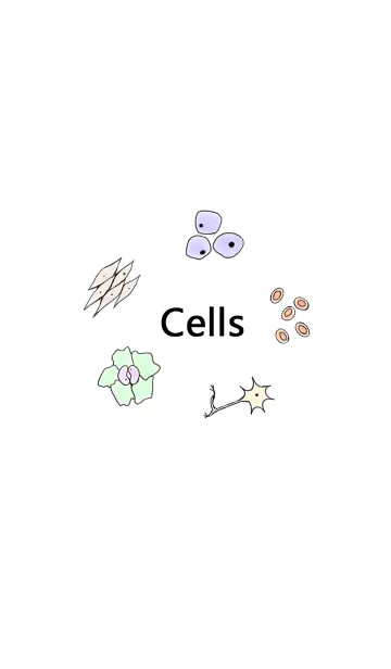 [LINE着せ替え] 細胞の画像1