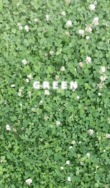 [LINE着せ替え] GREEN-緑の画像1