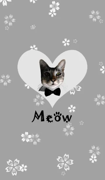 [LINE着せ替え] Meow Catの画像1