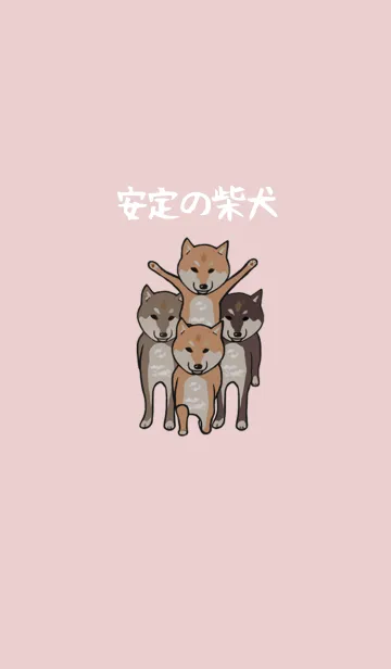 [LINE着せ替え] 安定の柴犬の画像1