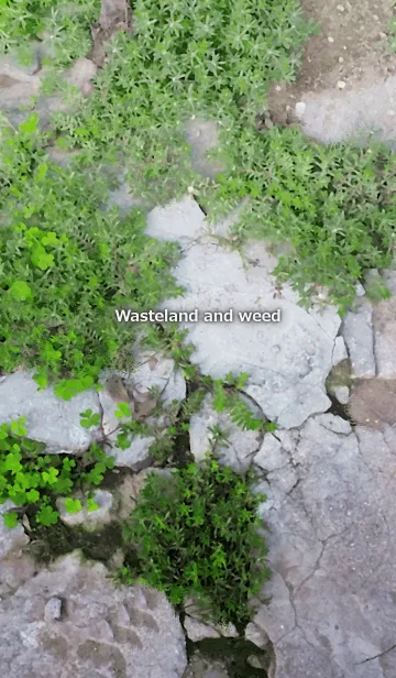 [LINE着せ替え] Wasteland and weed-荒れ地と雑草の画像1
