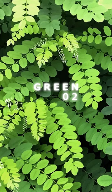 [LINE着せ替え] GREEN-緑02の画像1