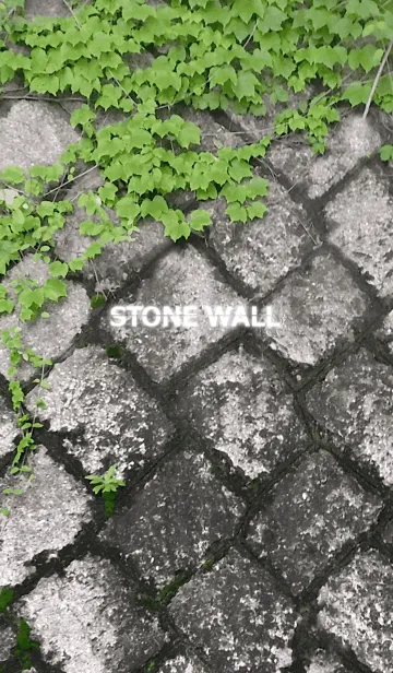 [LINE着せ替え] STONE WALL-石垣の画像1