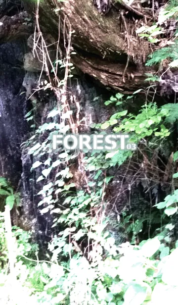 [LINE着せ替え] FOREST-森林03の画像1