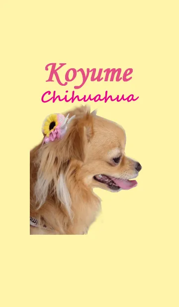 [LINE着せ替え] koyumeの夢の画像1