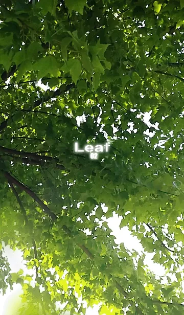 [LINE着せ替え] Leaf-リーフ02の画像1