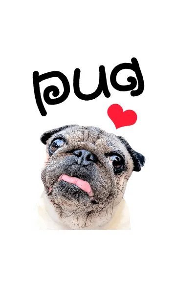 [LINE着せ替え] Pug-Make moneyの画像1