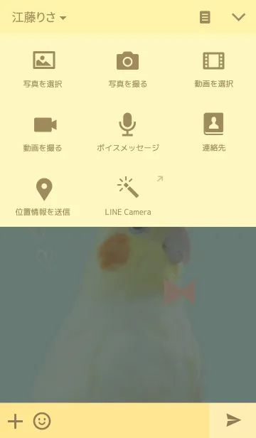 [LINE着せ替え] オカメミントの画像4