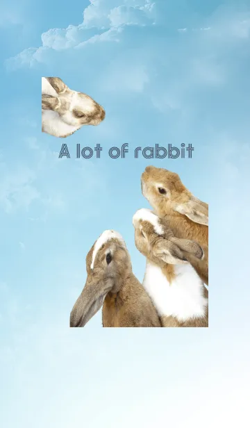 [LINE着せ替え] ウサギ盛り沢山の画像1